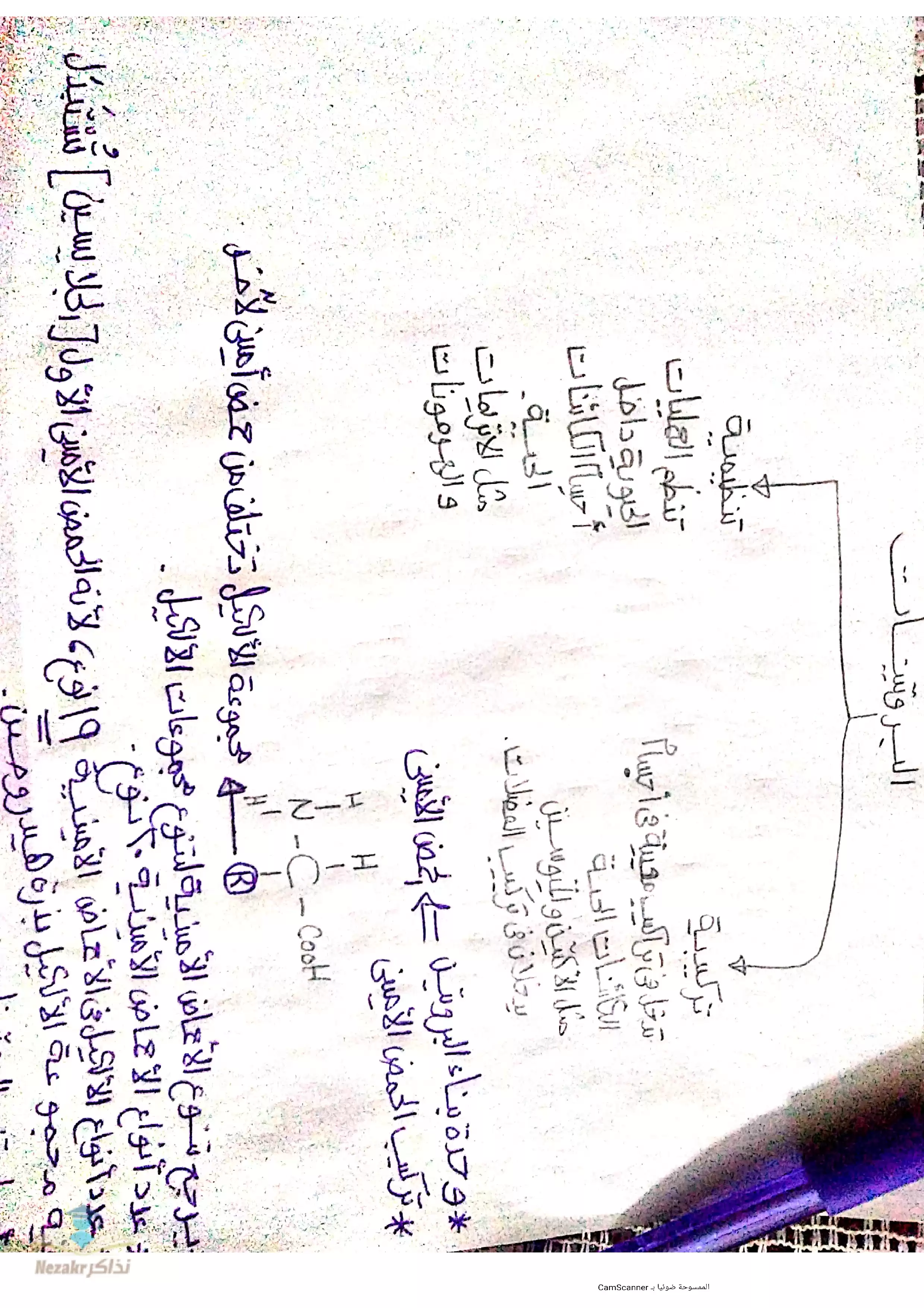 مراجعة الفصل الثاني في البيولوجيا الجزيئية RNA للثانوية العامة PDF بالاجابات