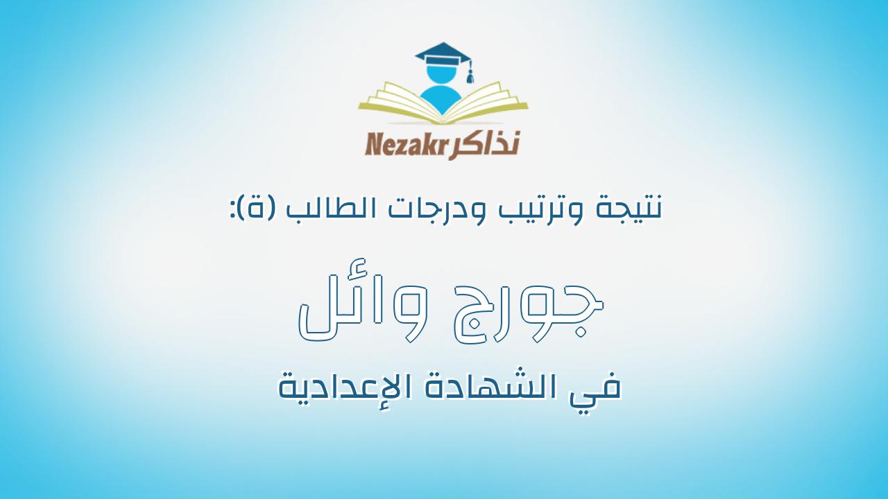 جورج وائل حسنى حنا