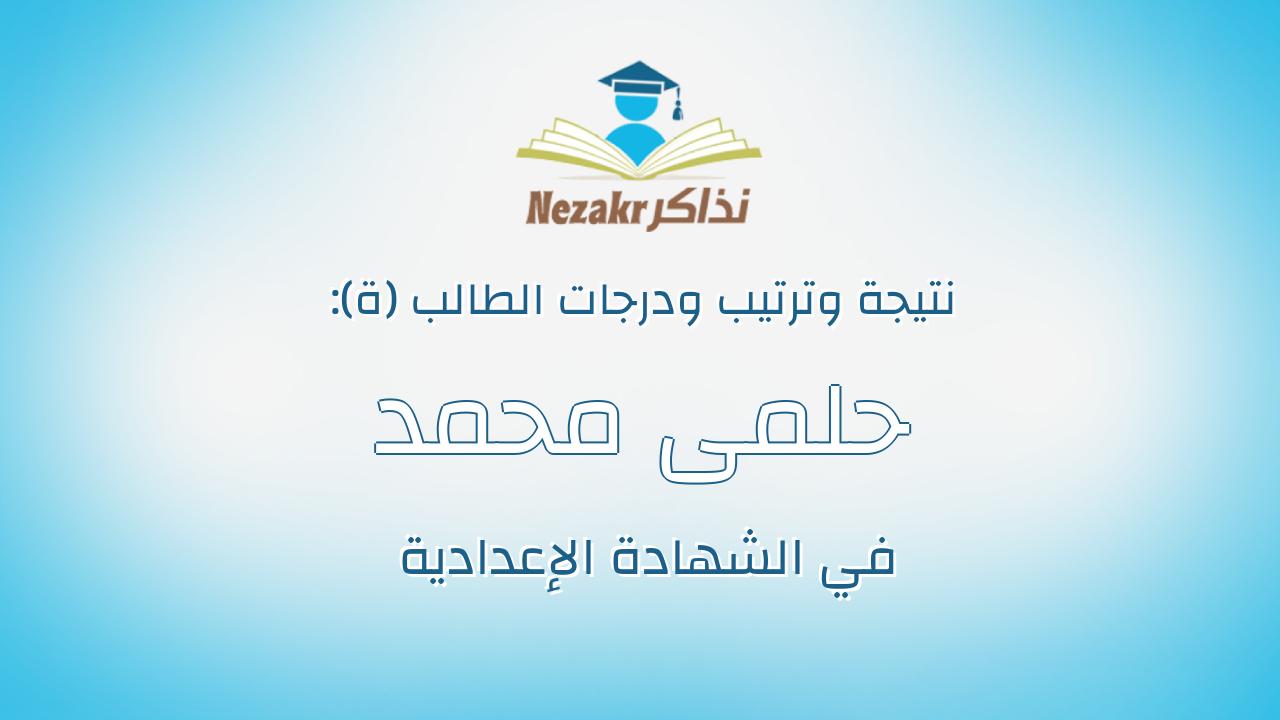 حلمى محمد حلمى محمد بدوى