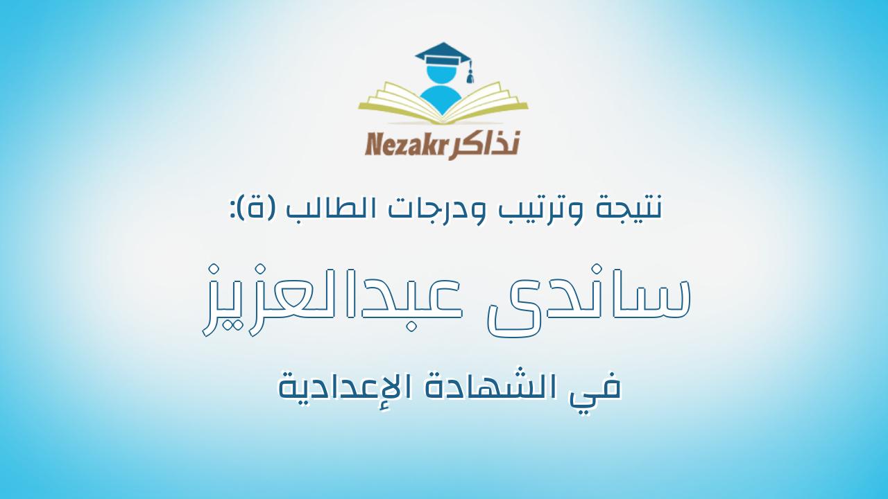 ساندى عبدالعزيز يحيى لطفى