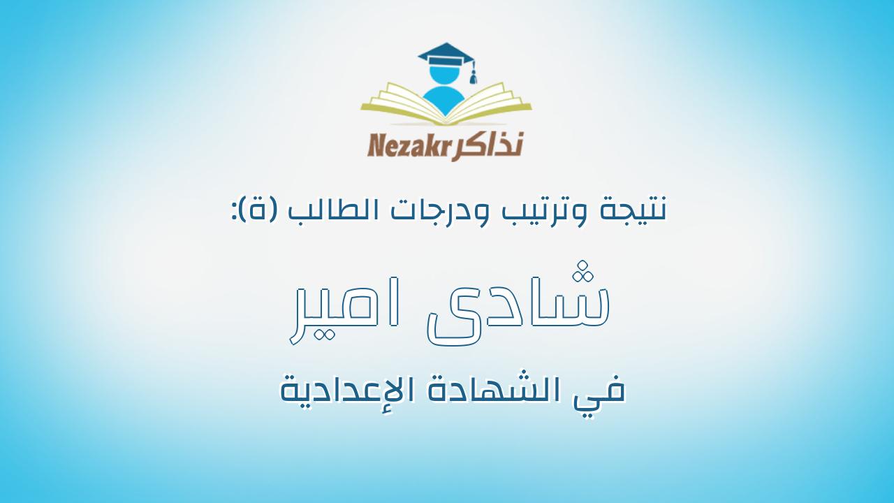 شادى امير صبحى رزق حنا
