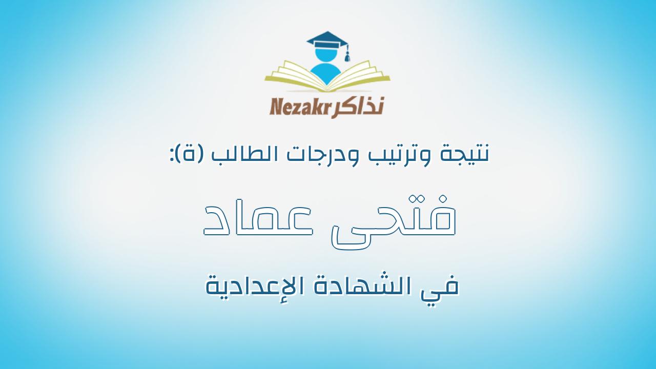فتحى عماد فتحى عبدالفتاح عزالدين