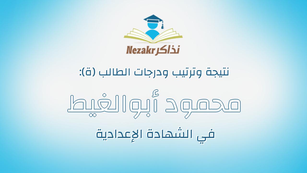 محمود أبوالغيط عبدالواحد الزرقانى