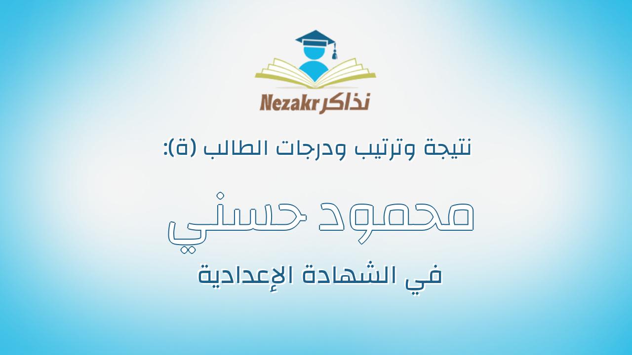 محمود حسني محمود ابراهيم بيضون