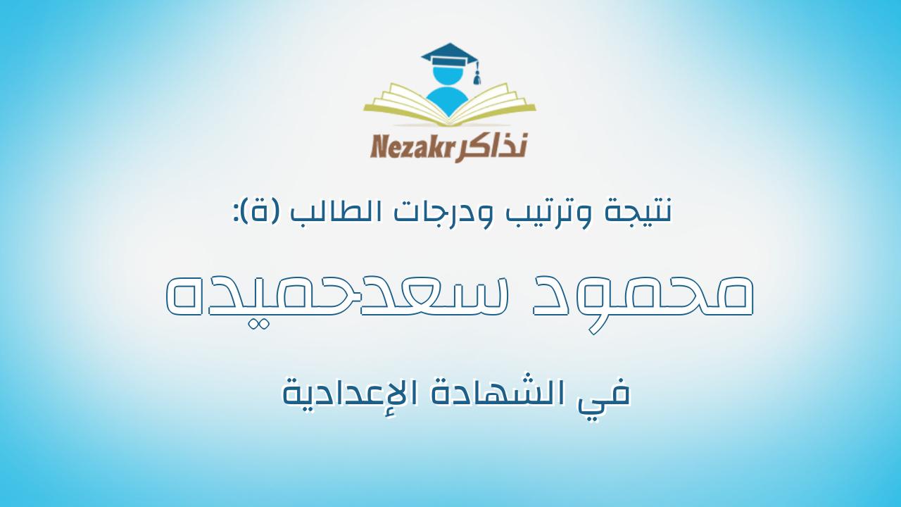 محمود سعدحميده السيد