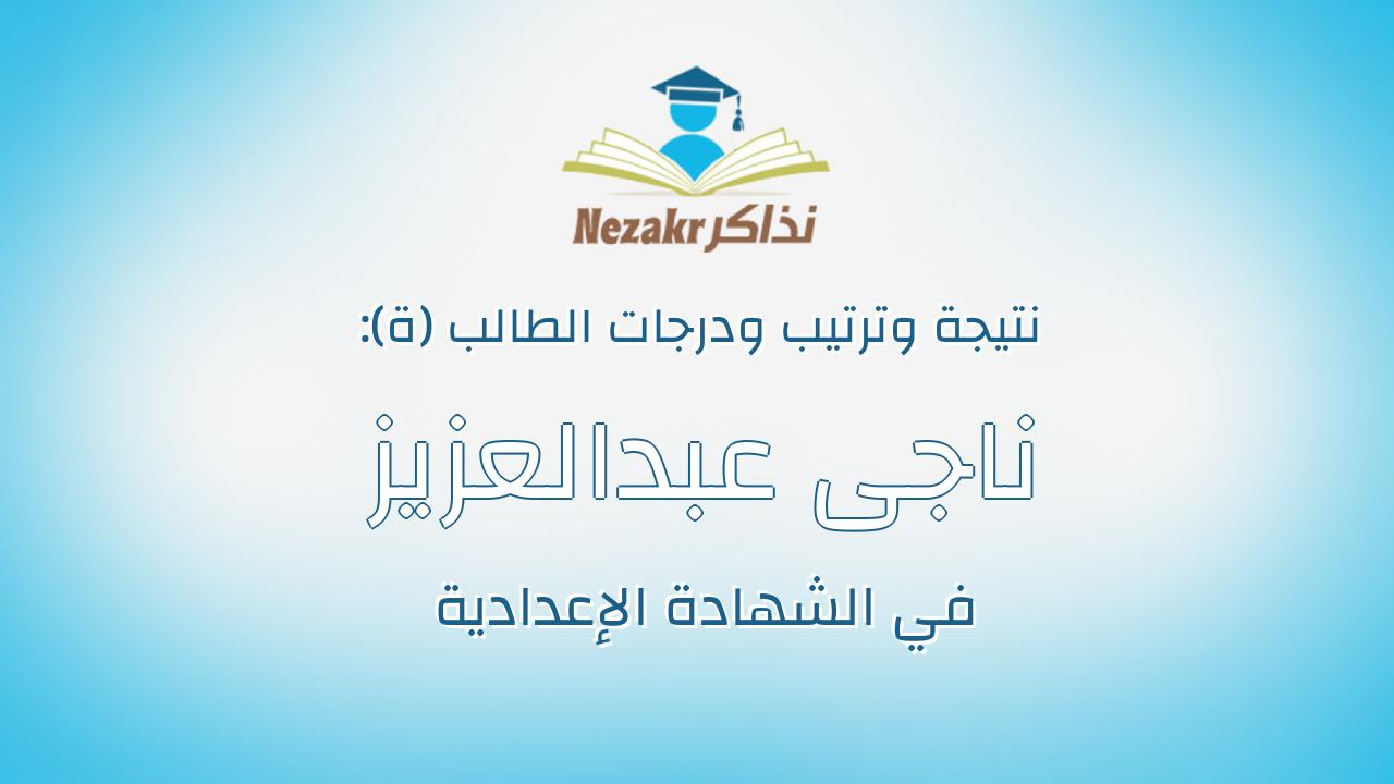 ناجى عبدالعزيز ناجى اسماعيل محمد