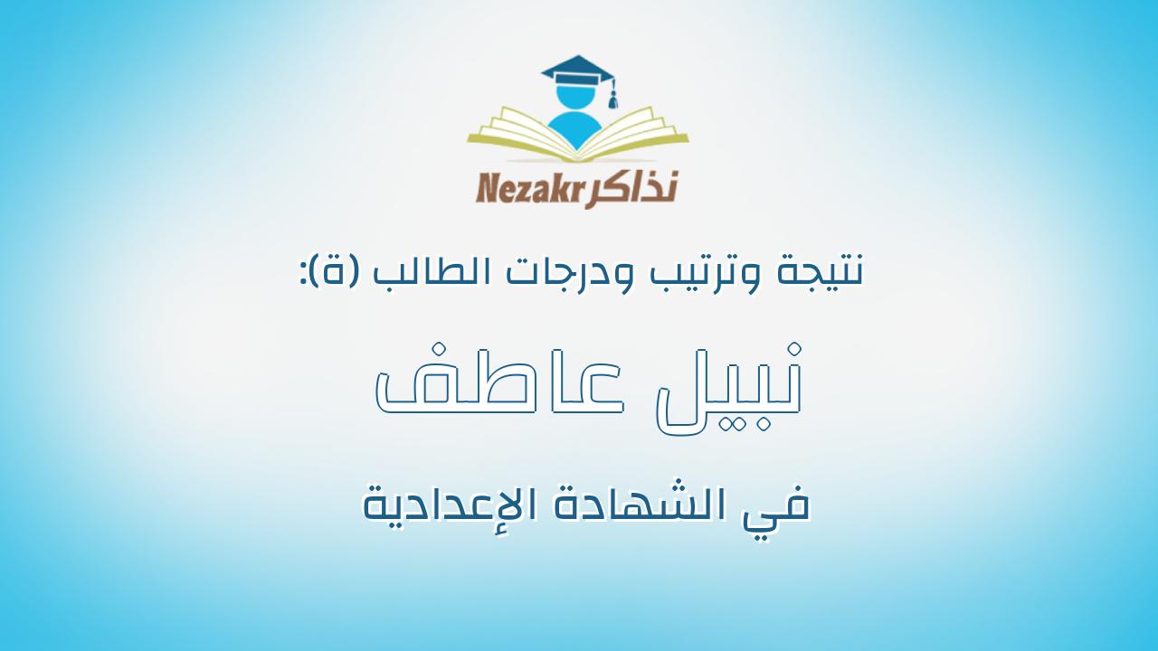 نبيل عاطف نبيل عبدالحميد مجمد مصطفي