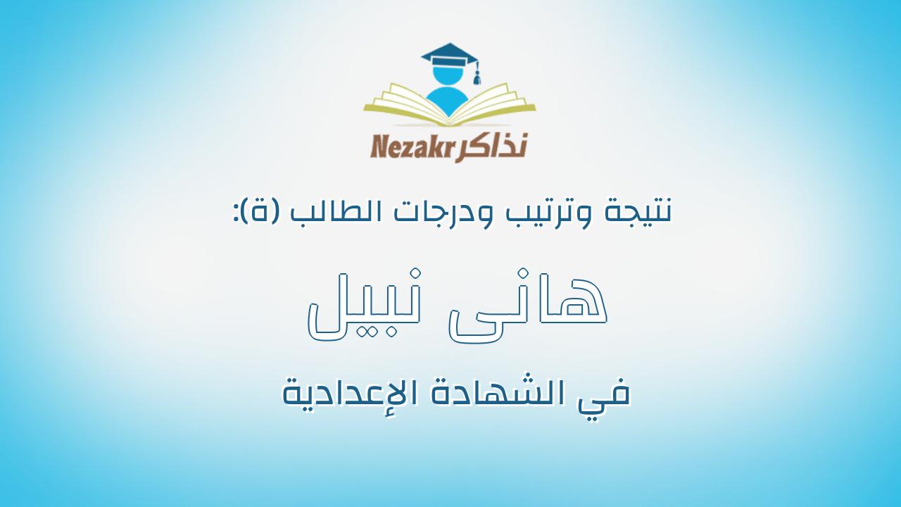 هانى نبيل فوزى اسكندر