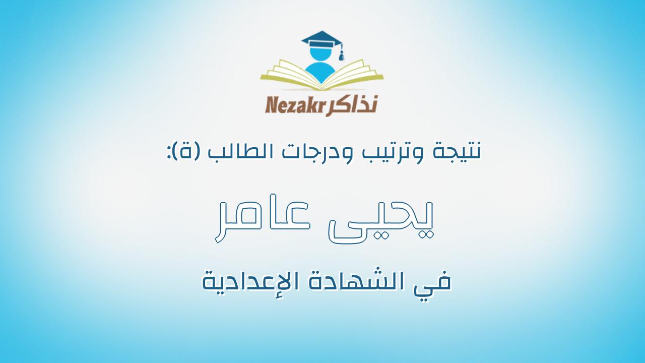 يحيى عامر فرغلي خلف